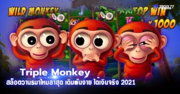 Triple Monkey สล็อตวานรมาใหม่ล่าสุด เดิมพันง่าย ได้เงินจริง 2021